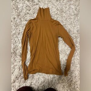 Golden Brown Ribbed Everlane Turtleneck